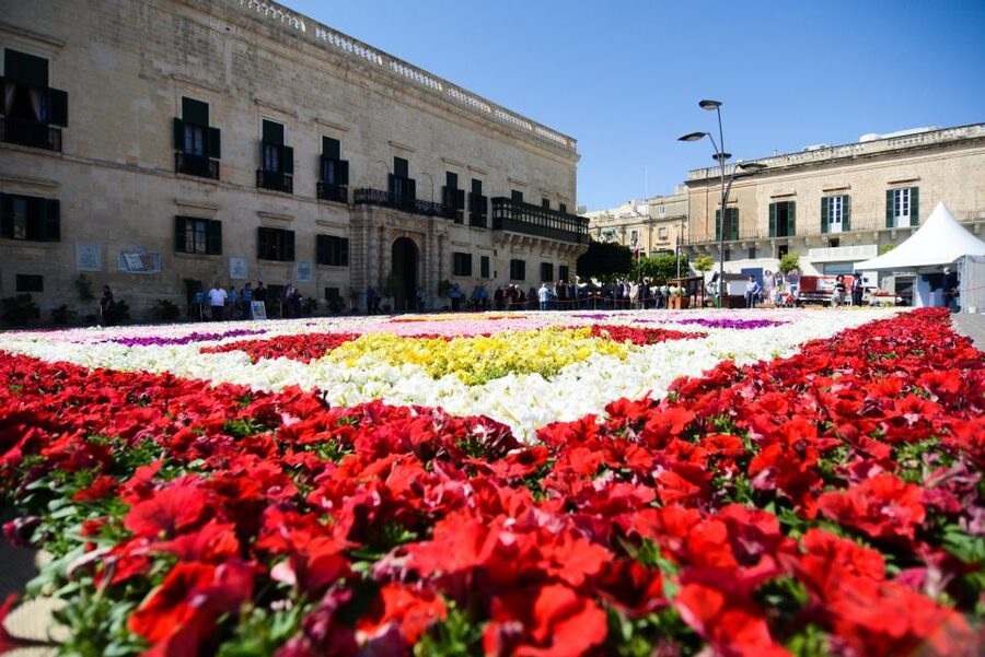 Valletta: Street Food and Culture Walking Tour - Meeting point and getting started on time near the City Gate