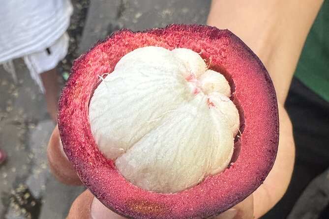 Vegan Food Tour - Untold Stories of Hoi An - Where to Meet and How the Tour Ends in Old Town