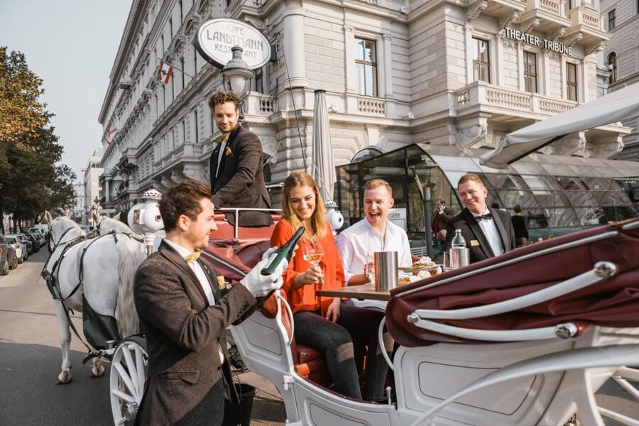 Vienna: Culinary Horse-Drawn Carriage Experience - Coachman + butler energy: stories that make buildings feel human