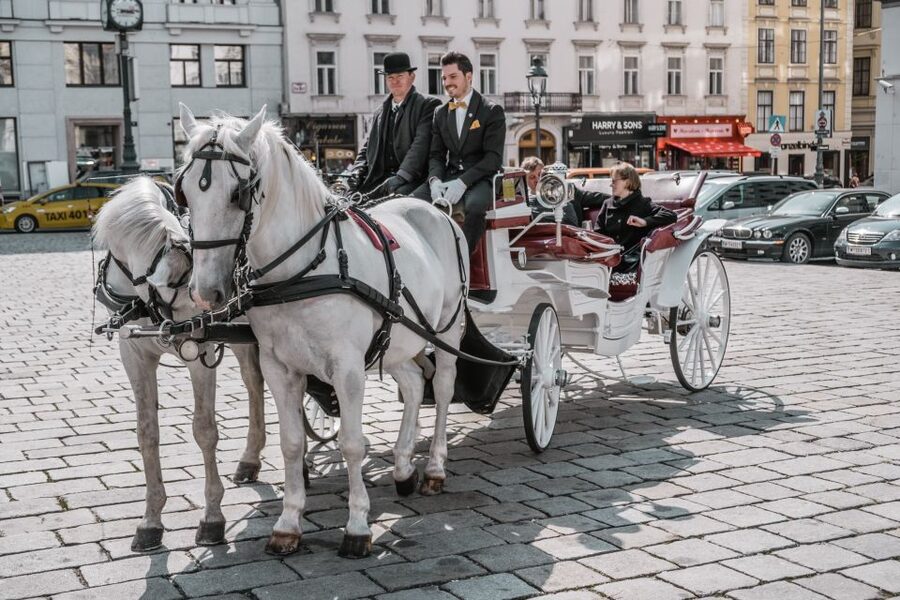 Vienna: Culinary Horse-Drawn Carriage Experience - Weatherproof means you still go, but dress smart