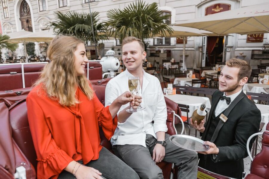 Vienna: Culinary Horse-Drawn Carriage Experience - Price and value: what $229 per group buys you