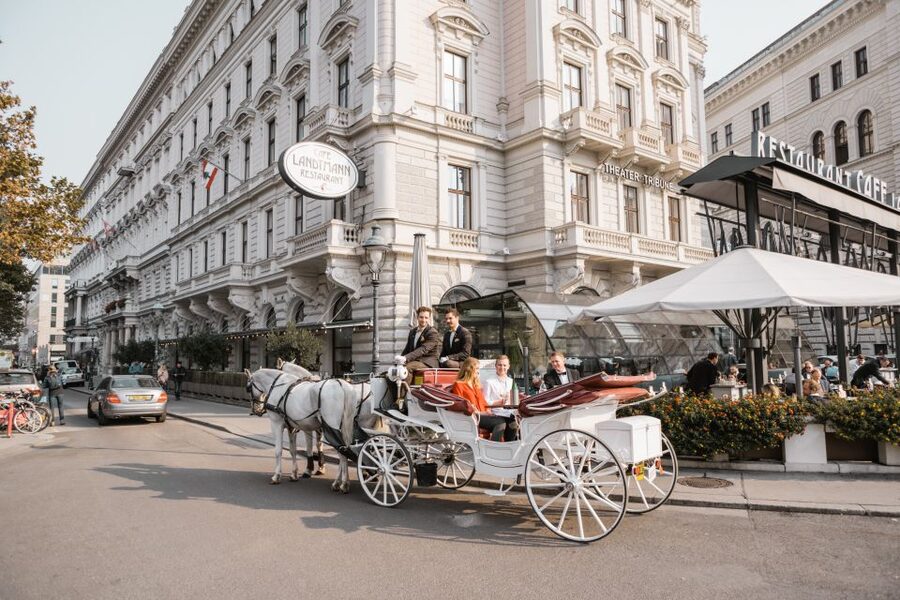 Vienna: Culinary Horse-Drawn Carriage Experience - Who this carriage ride is best for