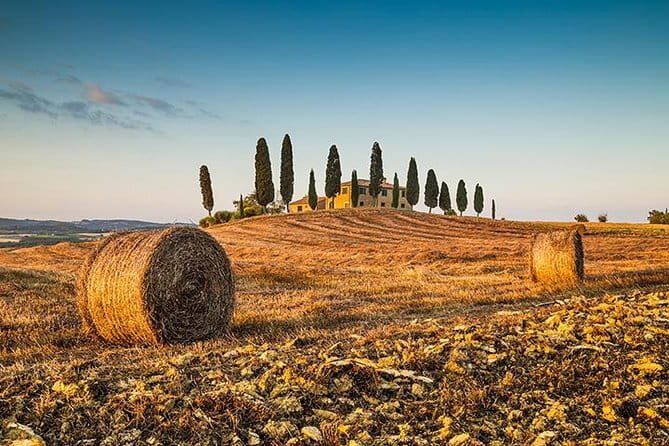 Walking Food Tour of Florence with Tastings and Wine - Vegetarian and dietary needs: how to make it work for you