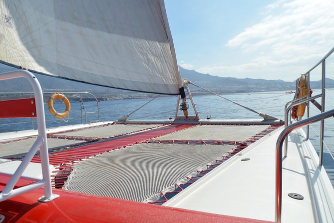 Whale Watching and Listening Eco Catamaran Tour with Food Tasting - Quick hit: what makes this tour worth your time