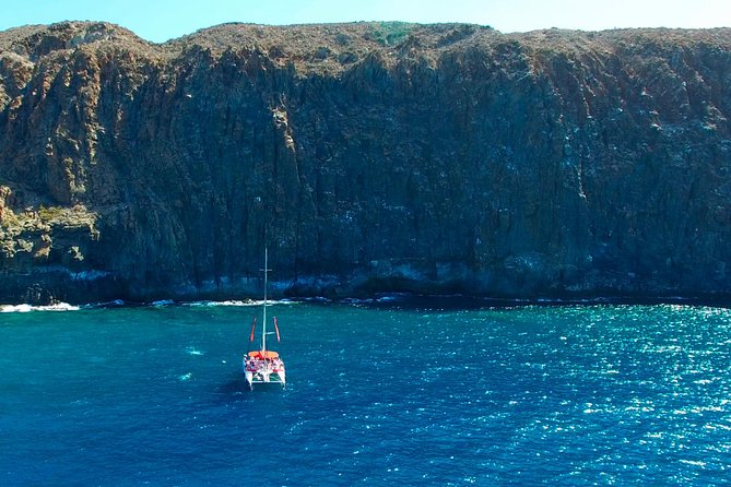 Whale Watching and Listening Eco Catamaran Tour with Food Tasting - Costa Adeje catamaran basics: timing, ship vibe, and what you get