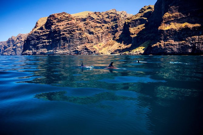Whale Watching and Listening Eco Catamaran Tour with Food Tasting - Food and drinks: what’s included and how it affects the value