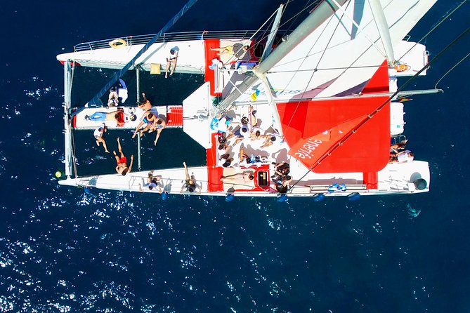 Whale Watching and Listening Eco Catamaran Tour with Food Tasting - Weather and sea conditions: what to expect in Tenerife