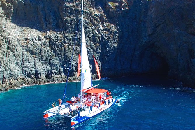Whale Watching and Listening Eco Catamaran Tour with Food Tasting - Who this tour suits best (and who should consider alternatives)