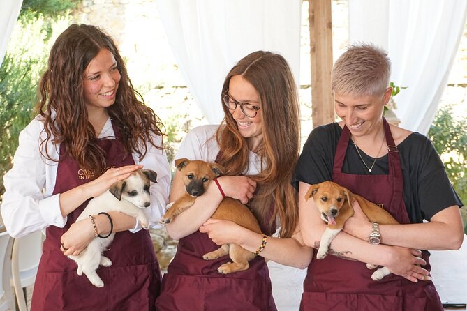 Wine and food tasting in an organic family winery - Casa Lucii near San Gimignano: a private, organic day with real food
