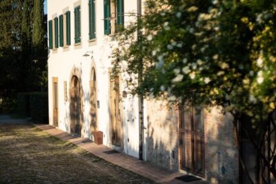 Wine and food tasting in an organic family winery - Welcome aperitivo, then a slow walk through the farm