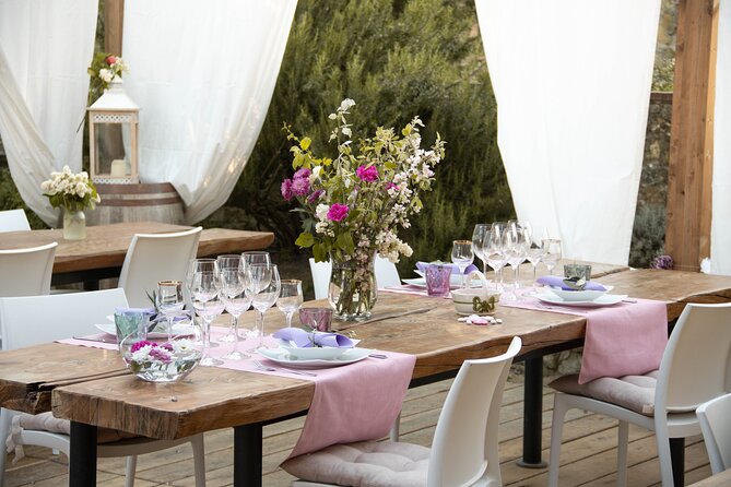 Wine and food tasting in an organic family winery - Eight organic wines: what you’ll taste and how the host frames it