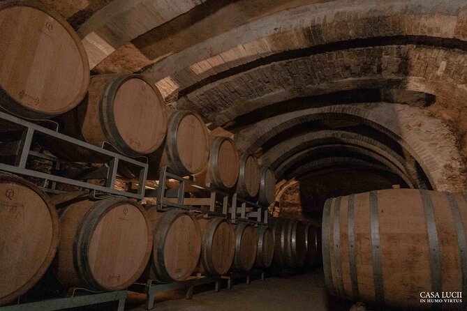 Wine and food tasting in an organic family winery - Dessert finish: Vin Santo del Chianti Curato with cantucci