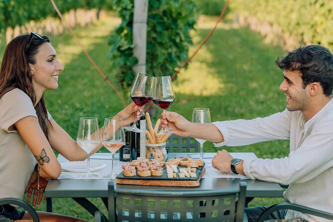 Wine and Food Tasting in the Vineyards in Lazise - Key things to know before your Lazise vineyard tasting