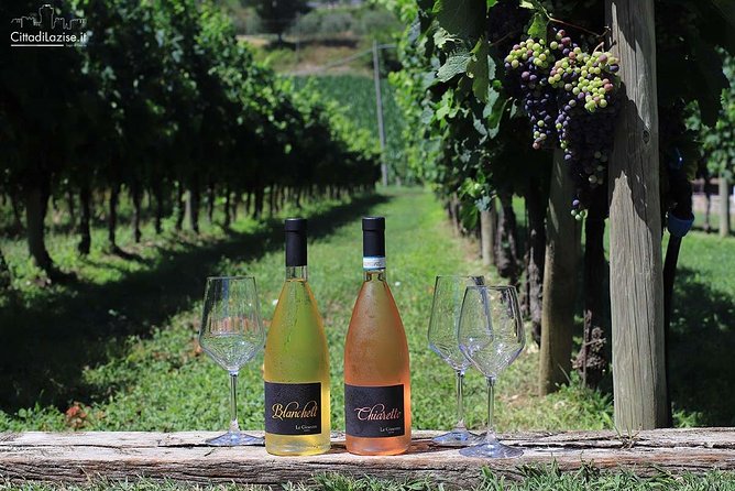 Wine and Food Tasting in the Vineyards in Lazise - Salami, cheese, and reds: how the pairings build your palate