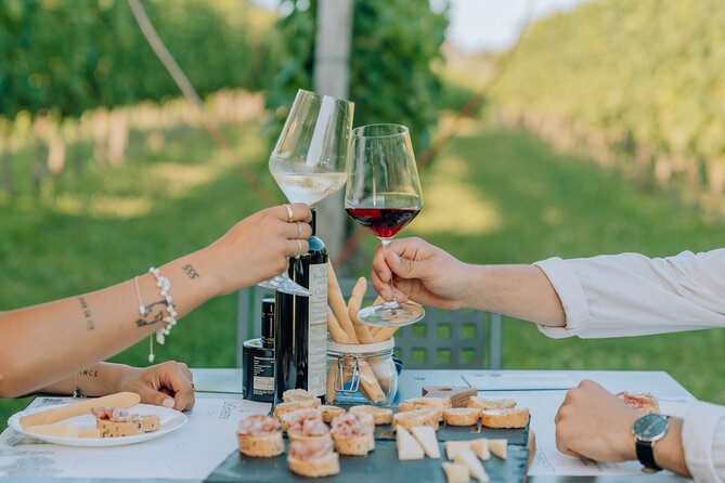 Wine and Food Tasting in the Vineyards in Lazise - A realistic expectation: what’s included and what isn’t