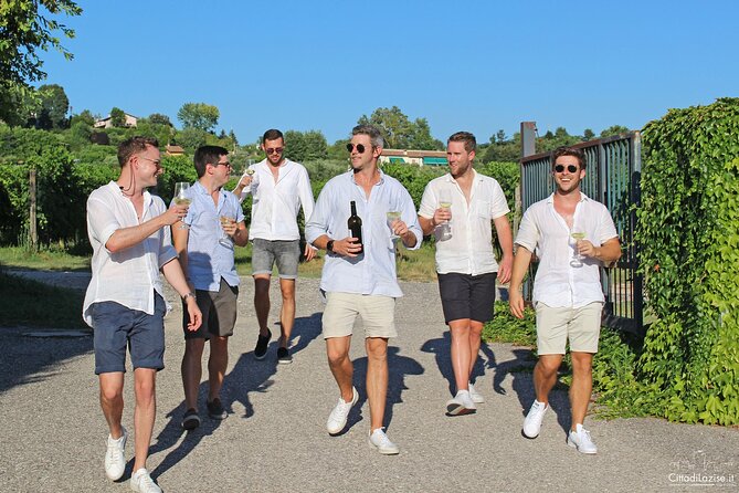 Wine and Food Tasting in the Vineyards in Lazise - Price and value: what $50.81 buys you in Lazise