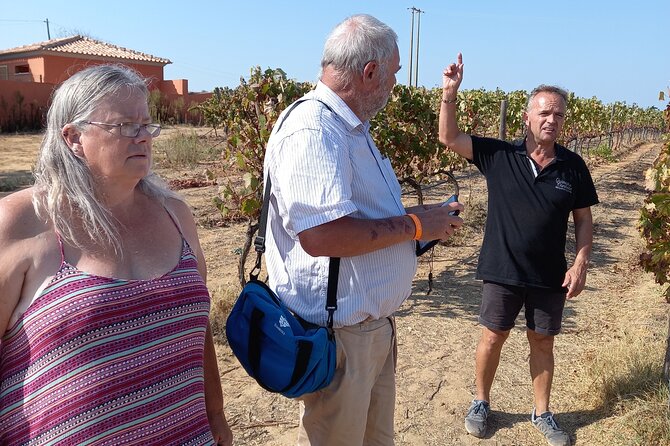 Wine Lovers: Winery Tour w/ Tasting & Tapas (Albufeira/Vilamoura) - Entering The day: timing, pickup, and what the 3 hours really feel like