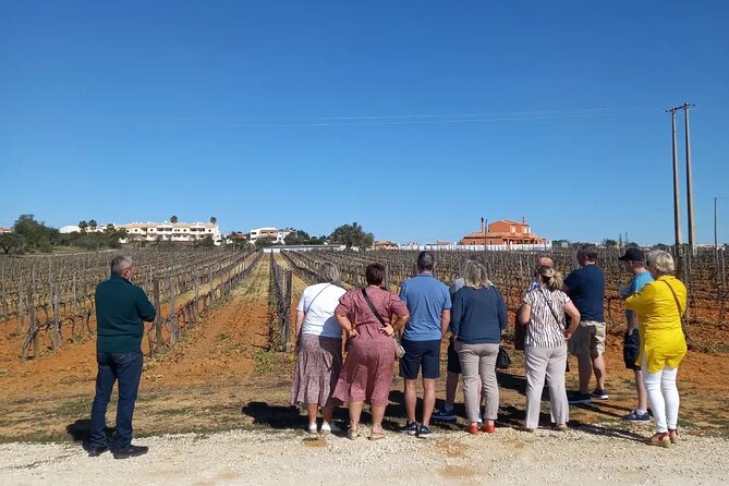 Wine Lovers: Winery Tour w/ Tasting & Tapas (Albufeira/Vilamoura) - Who this tour suits best (and who should skip)