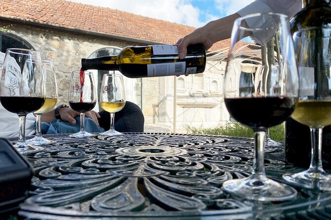 Wine Tasting with Tapas Walking Tour in Porto - Walking pace, hills, and what to wear on this route