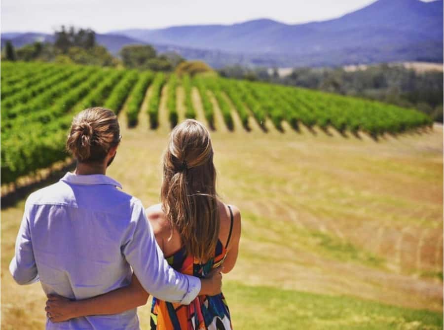 Yarra Valley Foodies Tour with Chandon and Kangaroo Safari! - A late-start Yarra Valley day that still feels unhurried