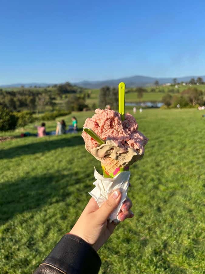 Yarra Valley Foodies Tour with Chandon and Kangaroo Safari! - Strawberry farm refresh: a quick local stop before the tastings