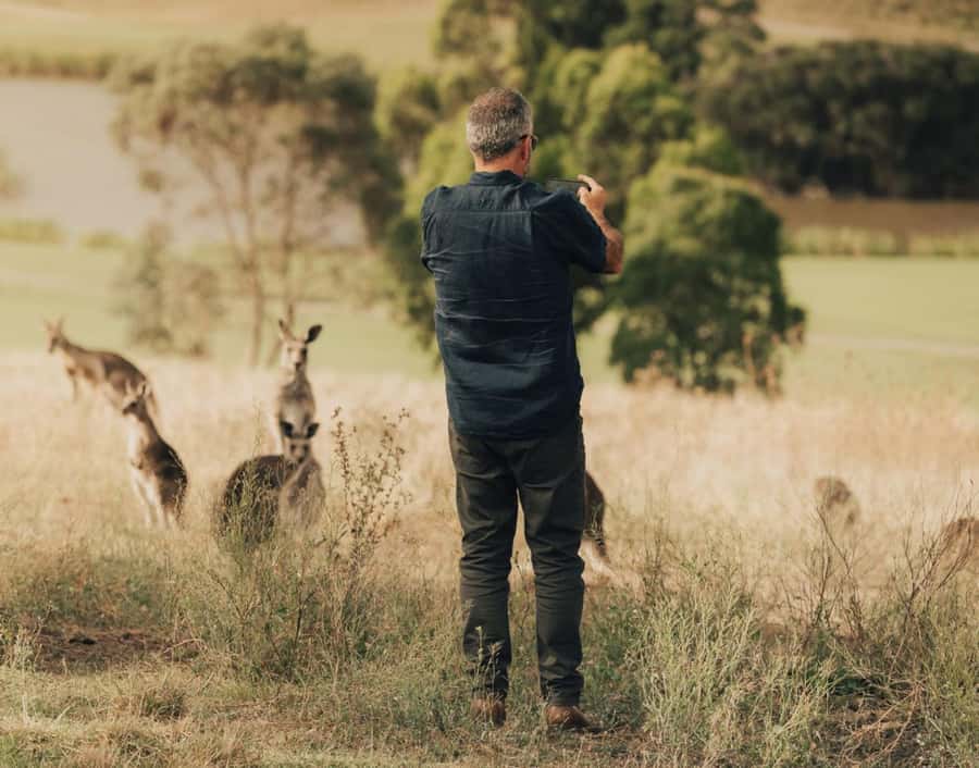 Yarra Valley Foodies Tour with Chandon and Kangaroo Safari! - The sunset kangaroo safari: how the last hour feels in the lower Yarra