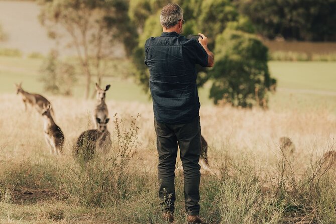 Yarra Valley Foodies Tour with Chandon & Kangaroo Safari! - Stop 4: Yering Station Cool-Climate Wines and Familiar Favorites