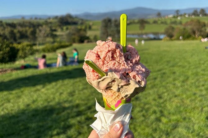 Yarra Valley Foodies Tour with Chandon & Kangaroo Safari! - Stop 6: Kangaroo Safari at Kangaroo Ground, the Day’s Best Finish