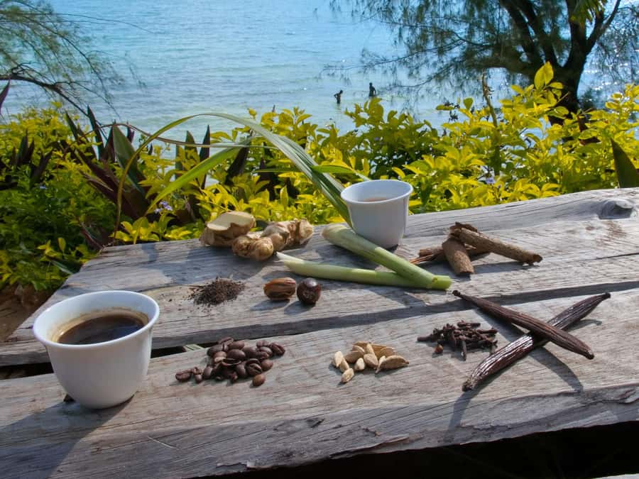 Zanzibar: The Swahili Spice Experience - Spice Tour + Culinary Journey - Zanzibar’s spice farm plus Swahili lunch, without the fluff