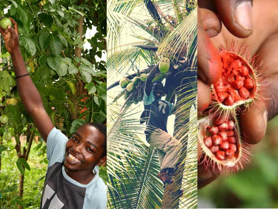 Zanzibar: The Swahili Spice Experience - Spice Tour + Culinary Journey - The guides make the tour feel personal